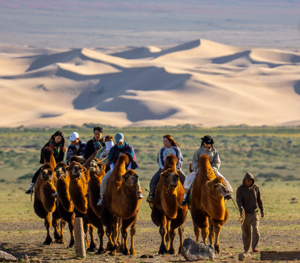 Gobi Odyssey